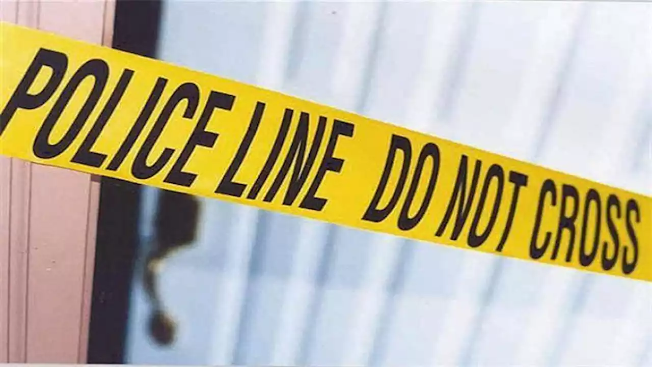 Residents in Durban flat where suspects killed left reeling - SABC News