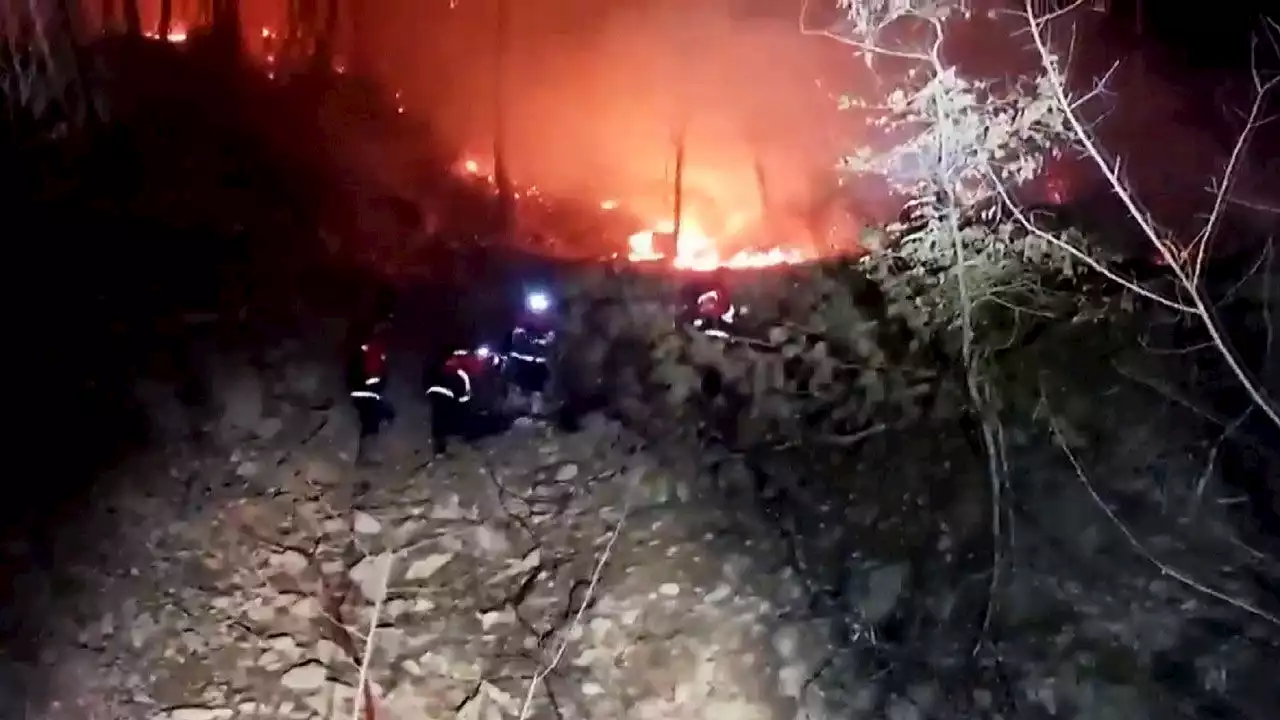 '포천 산불' 재발화…축구장 40개 면적 불타