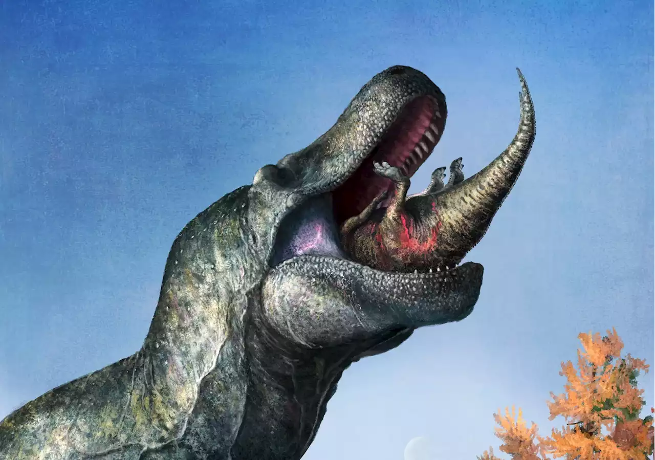 Jurassic Makeover: Revealing the True Faces of Predatory Dinosaurs Like T. rex