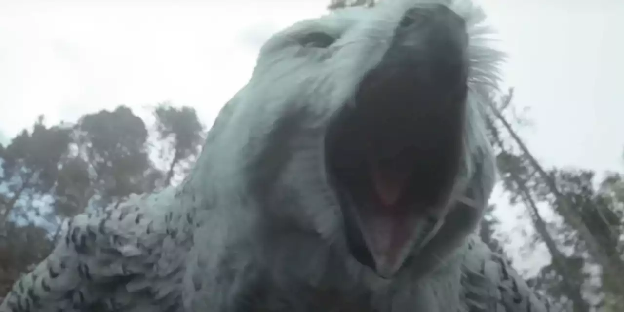 DnD Movie Has Perfect Response To Owlbear Controversy In New Commercial