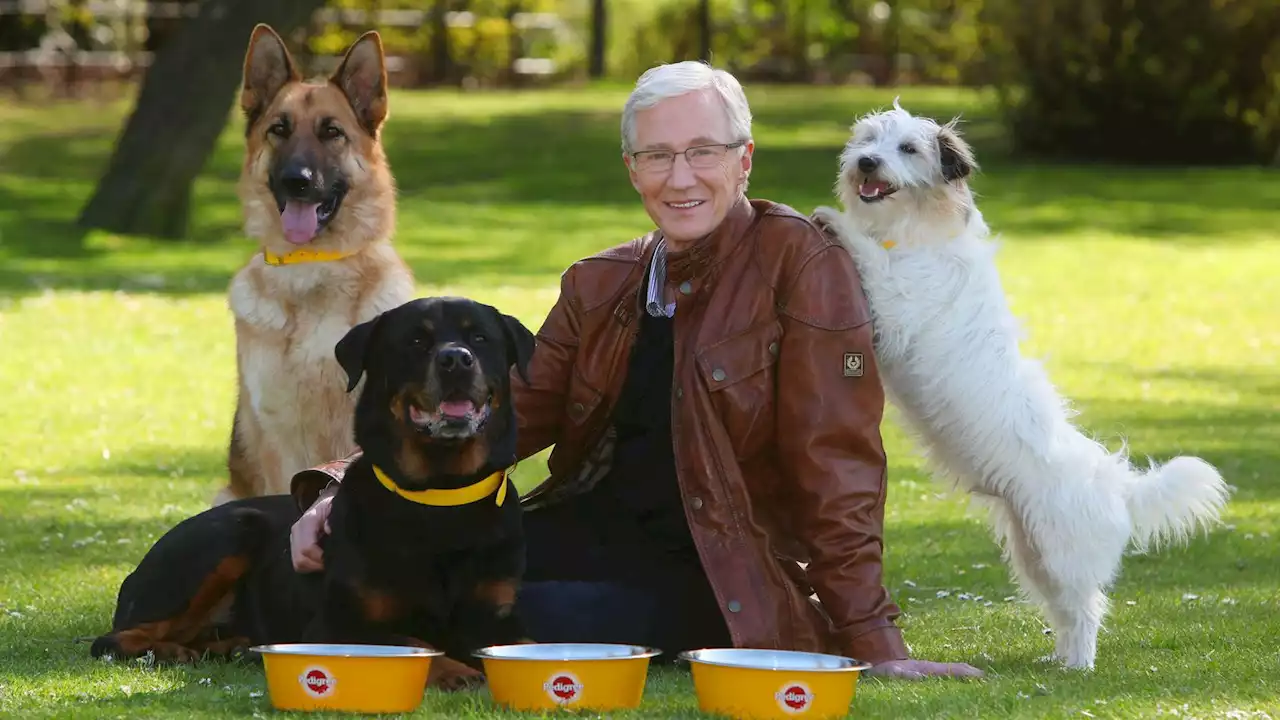 Paul O'Grady's Battersea Dogs and Cats Home legacy grows as donations since his death pass £130k