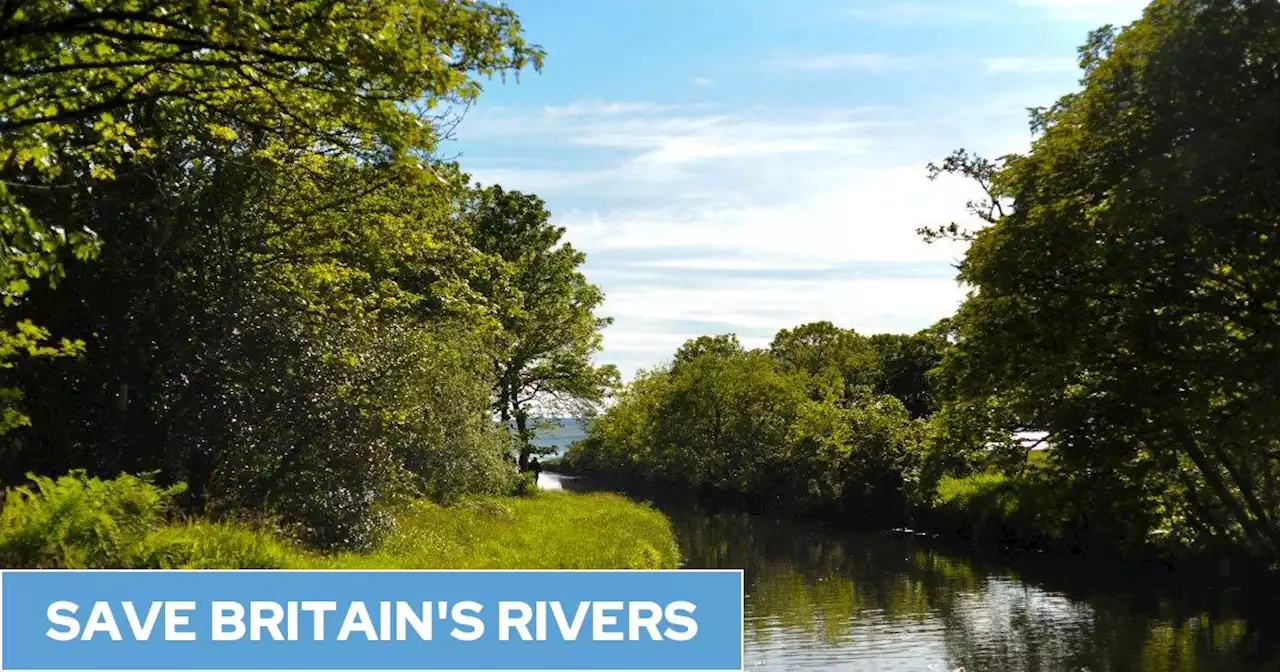 Labour pledges to introduce measures to end sewage dumping in Britain's waterways