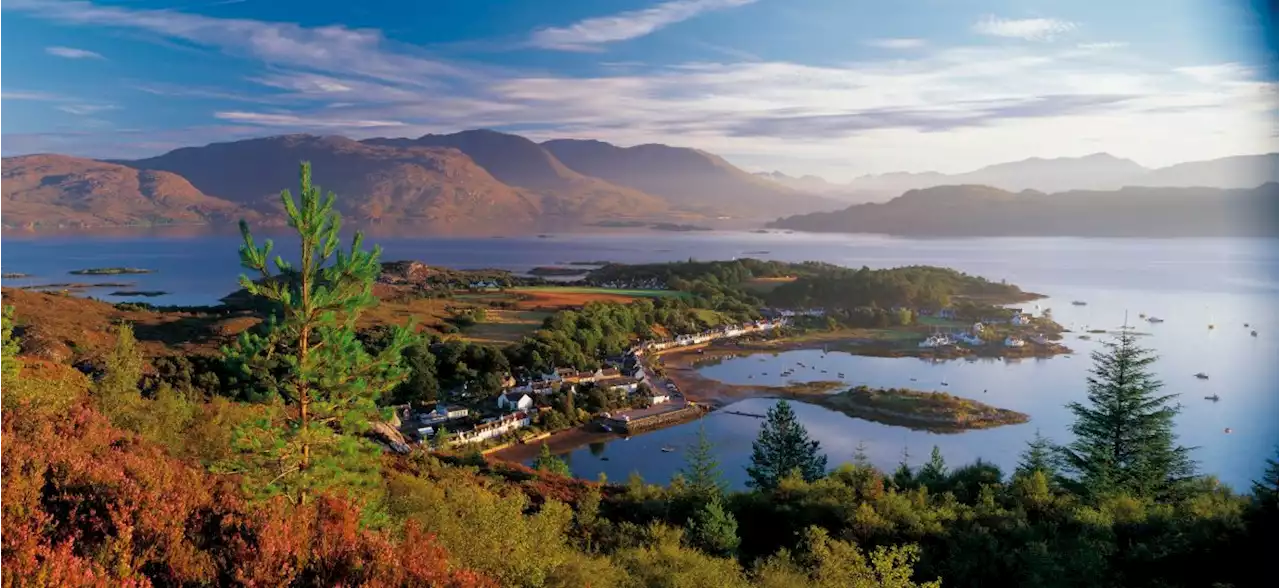 The 'Jewel of the Highlands' with palm trees, seals and a hidden gem coral beach