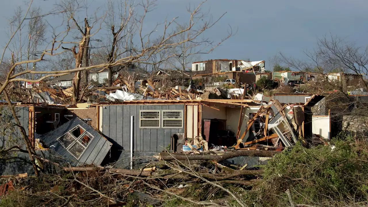 Tornadoes, severe storms tear across South, Midwest, leaving at least 11 dead; theater roof collapses in Illinois: Live updates