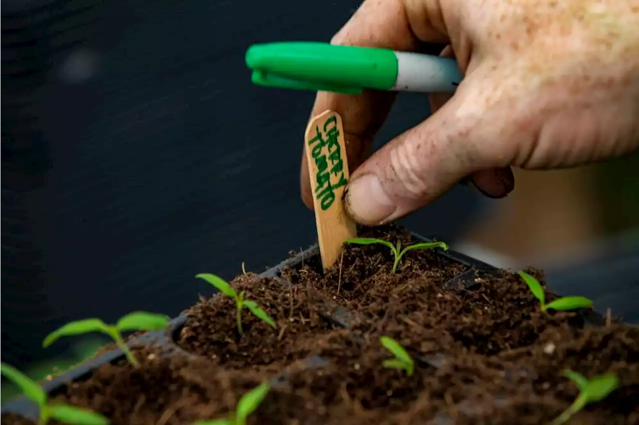 As Spring weather flirts with Boston, let's talk about your garden