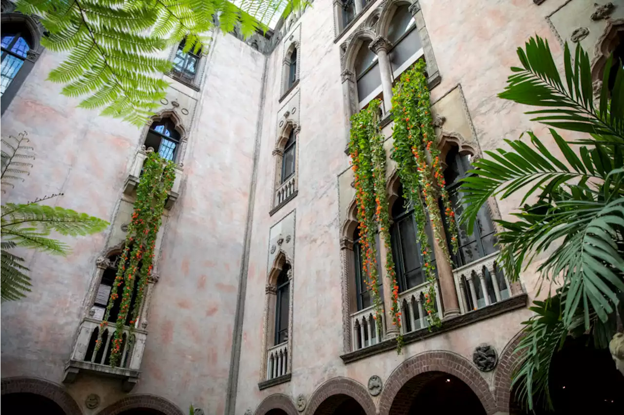 Photos: Nasturtiums return to the Gardner Museum