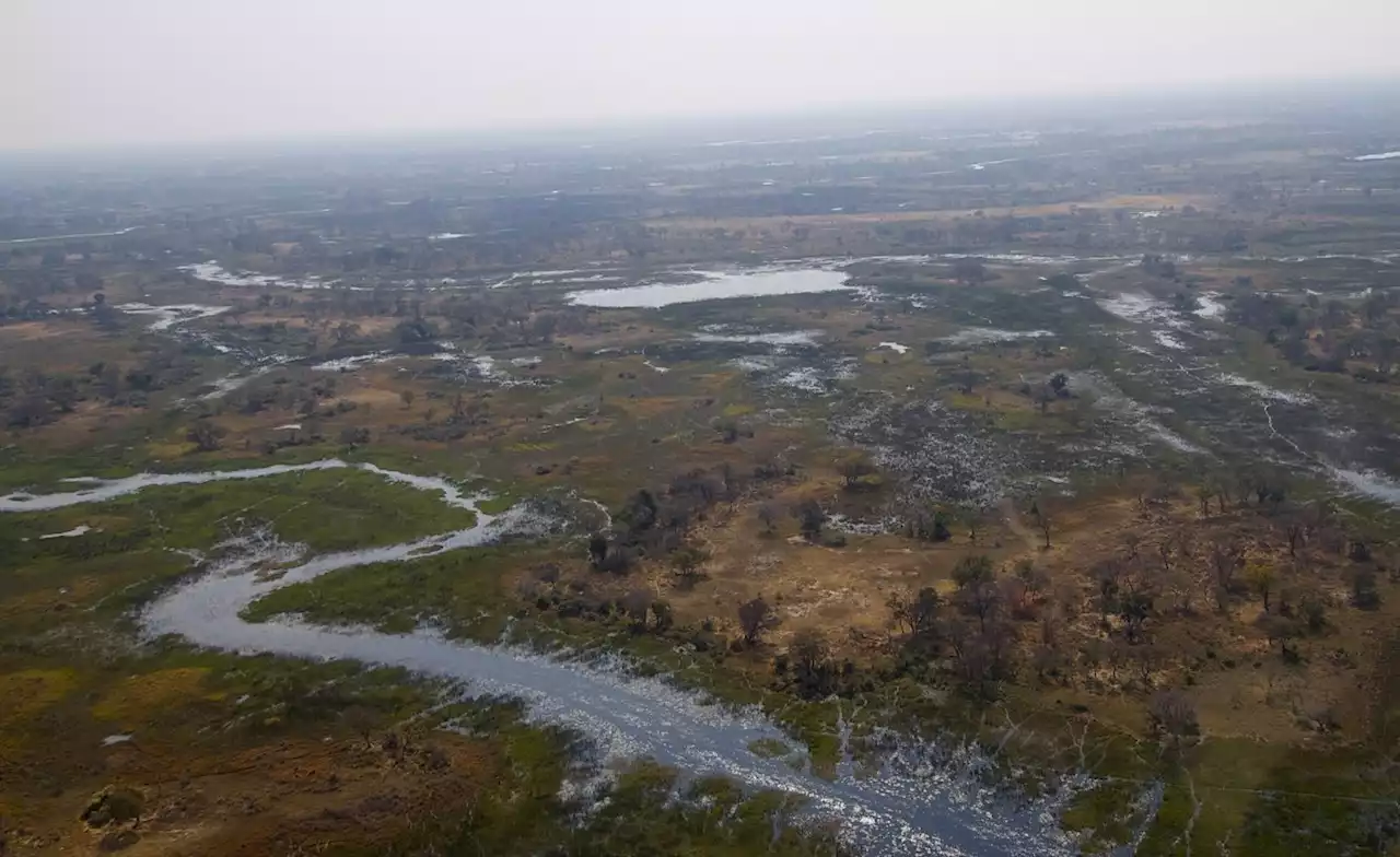 Africa: In Africa's Okavango, Oil Drilling Disrupts Locals, Nature