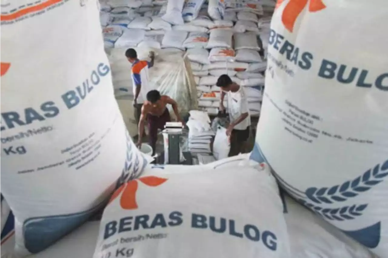 Pengamat apresiasi bantuan beras 10 kilogram per bulan dari pemerintah