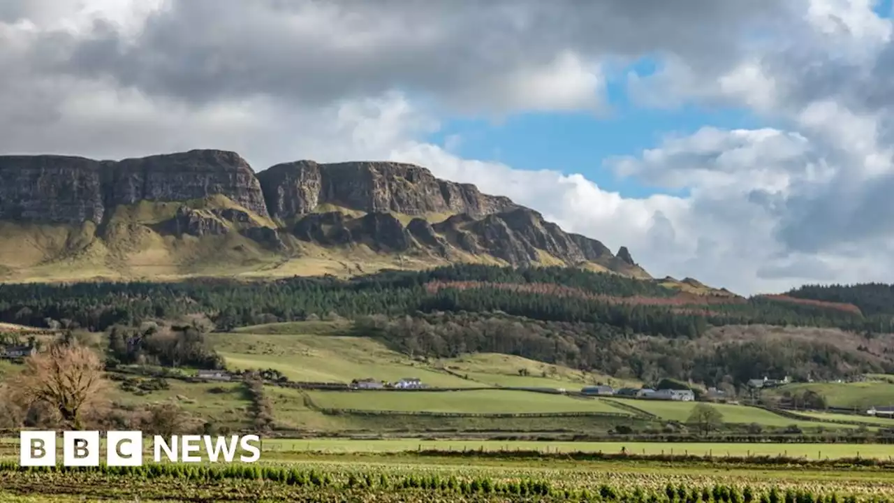 Binevenagh: Lamb carcasses dumped in County Londonderry river