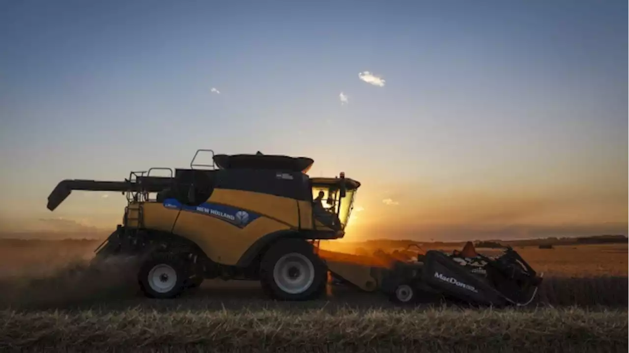 More than 40% of farm operators to retire by 2033: report - BNN Bloomberg