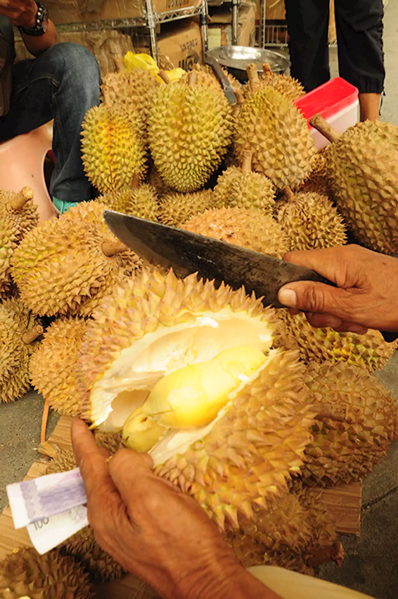 Durian exports to China seen to draw $260M revenue | Raadee S. Sausa