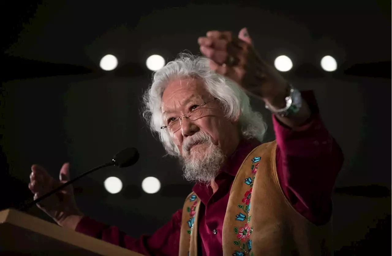 David Suzuki shares insights as he retires from 'The Nature of Things'