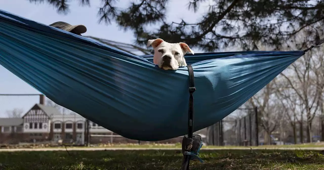 Photos: Warm weather in Chicago