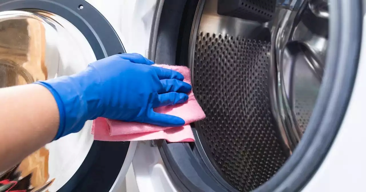 Washing machine hack that 'banishes black marks' from seals in 'five minutes'