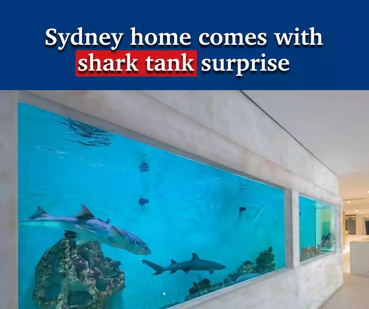 Bond-esque shark tank for sale in $5.9m waterfront home - realestate.com.au