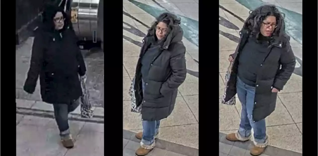 Police trying to ID woman after assault at TTC subway station