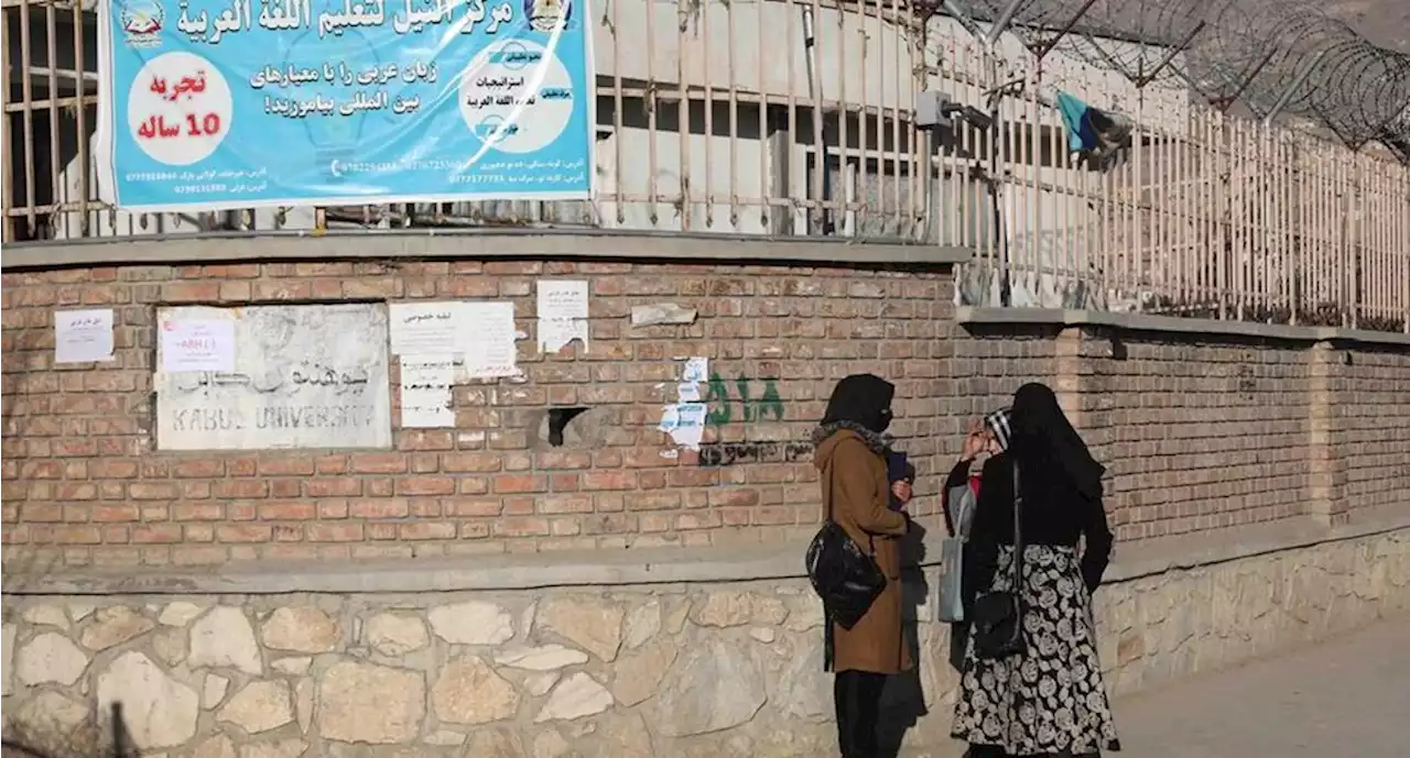 Talibán veta a mujeres de restaurantes con jardín en Herat, al noroeste de Afganistán | El Universal