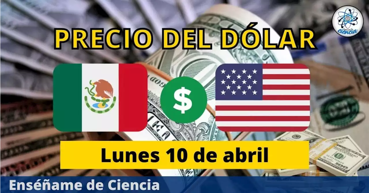 Precio del dólar hoy lunes 10 de abril, ¿cómo amaneció el tipo de cambio en México?