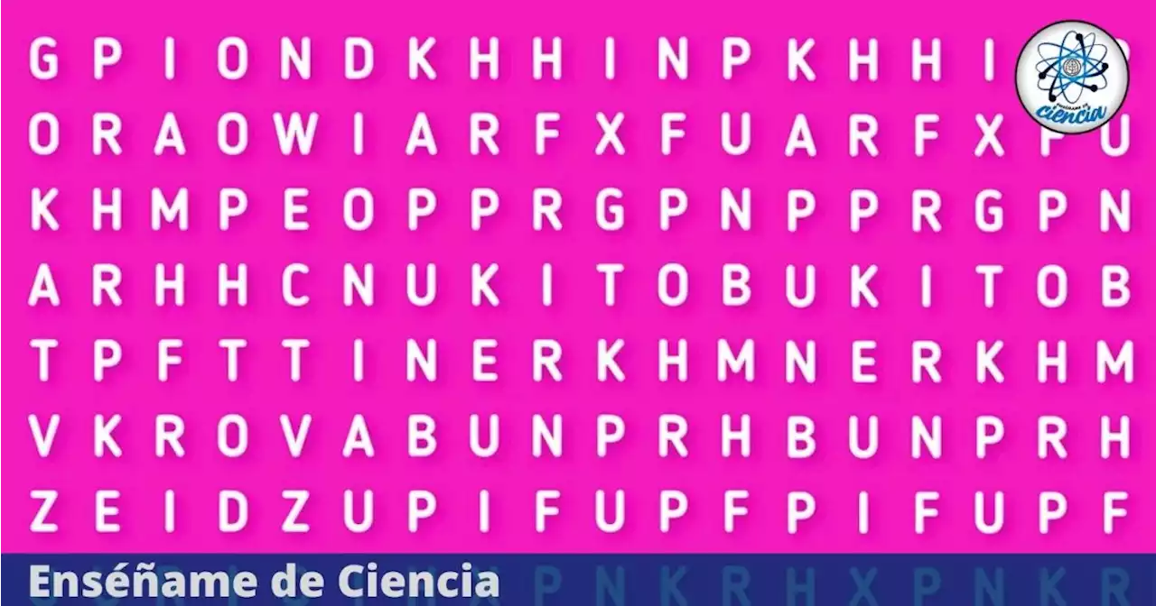 Test visual para PRINCIPIANTES: Encuentra la palabra “MÉDICO” en menos de 9 segundos