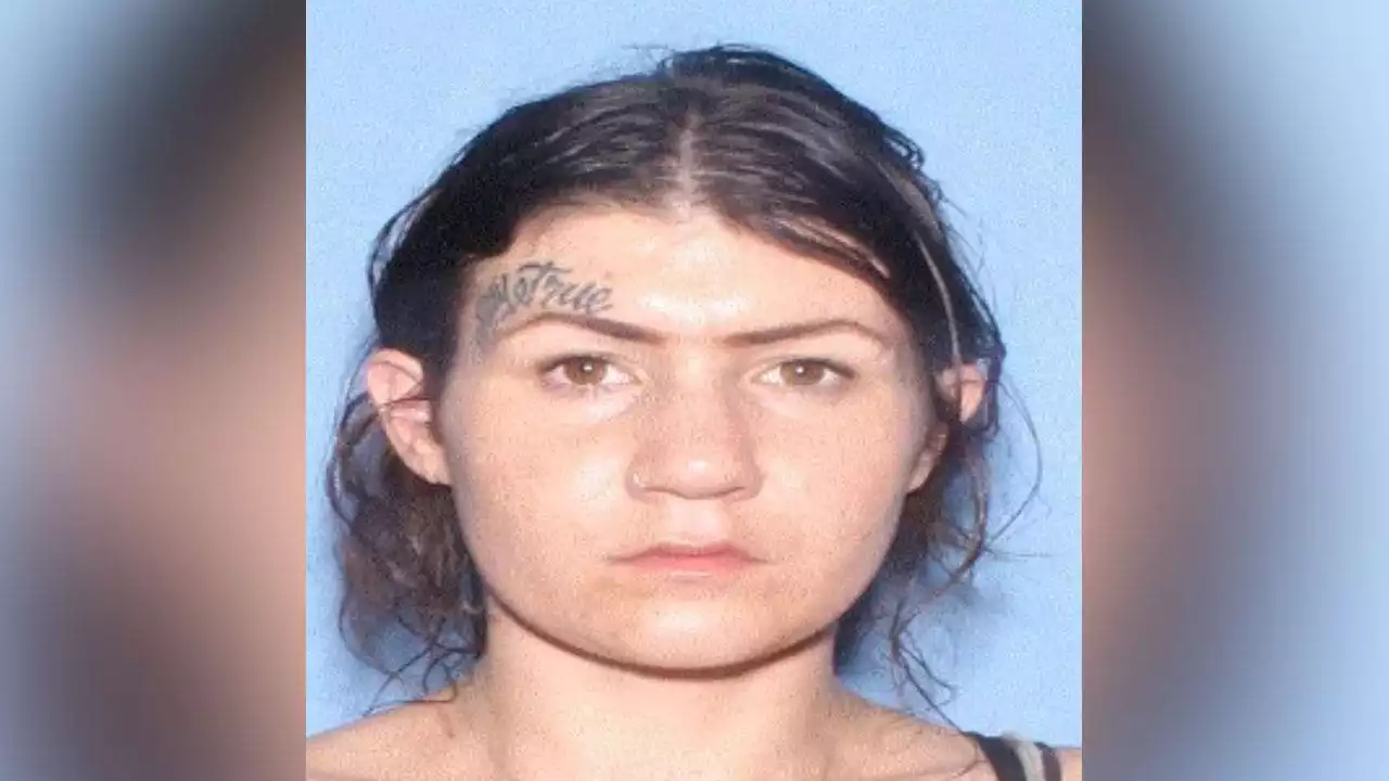 Arizona woman wanted for February shooting, also charged with January shooting: reports