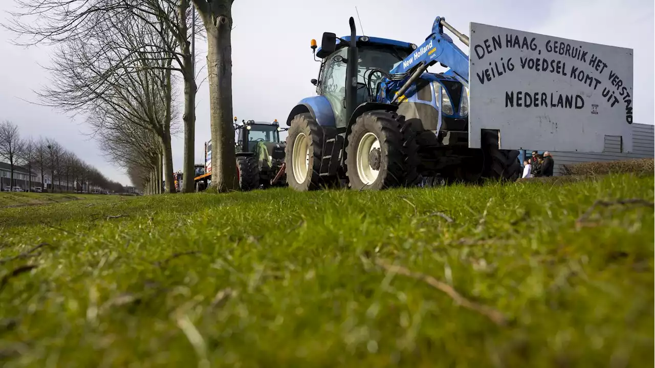 'Le gouvernement ne veut plus de nous' : aux Pays-Bas, les agriculteurs contestent le 'plan azote'