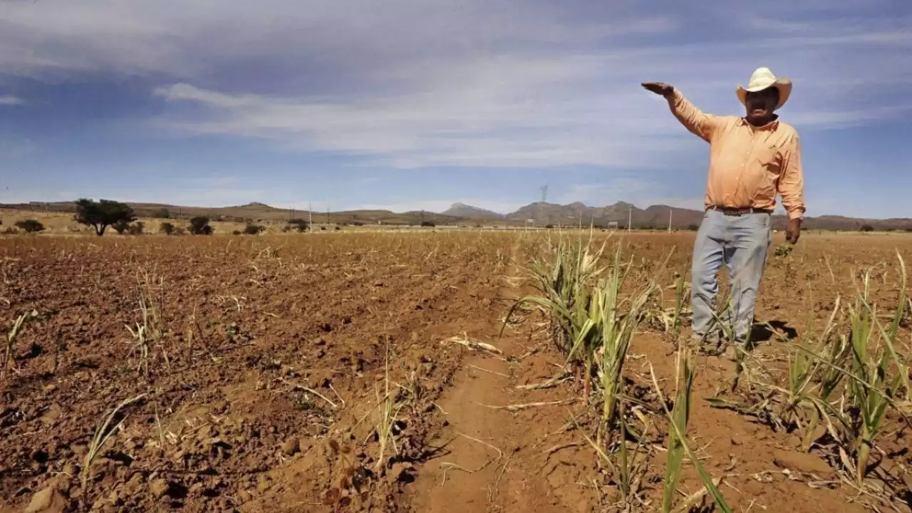 Sader: ante los efectos del cambio climático, los investigadores deben preparar al campo mexicano