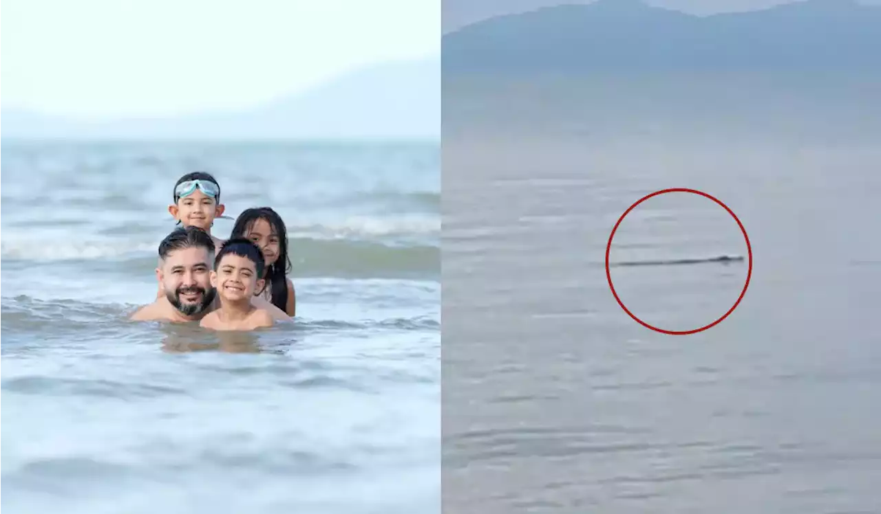 (Video) Crocodile Spotted At Beach In Front Of TMJ's House; Perhilitan Launches Investigation - Hype MY