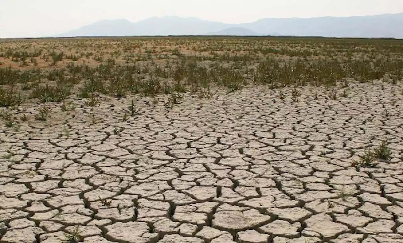 Cambio climático, entre las 5 'megatendencias' que afectan al crecimiento económico de los países