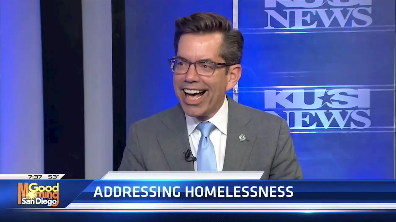 San Diego City Councilmember Stephen Whitburn explains why his homeless plan is stalled -