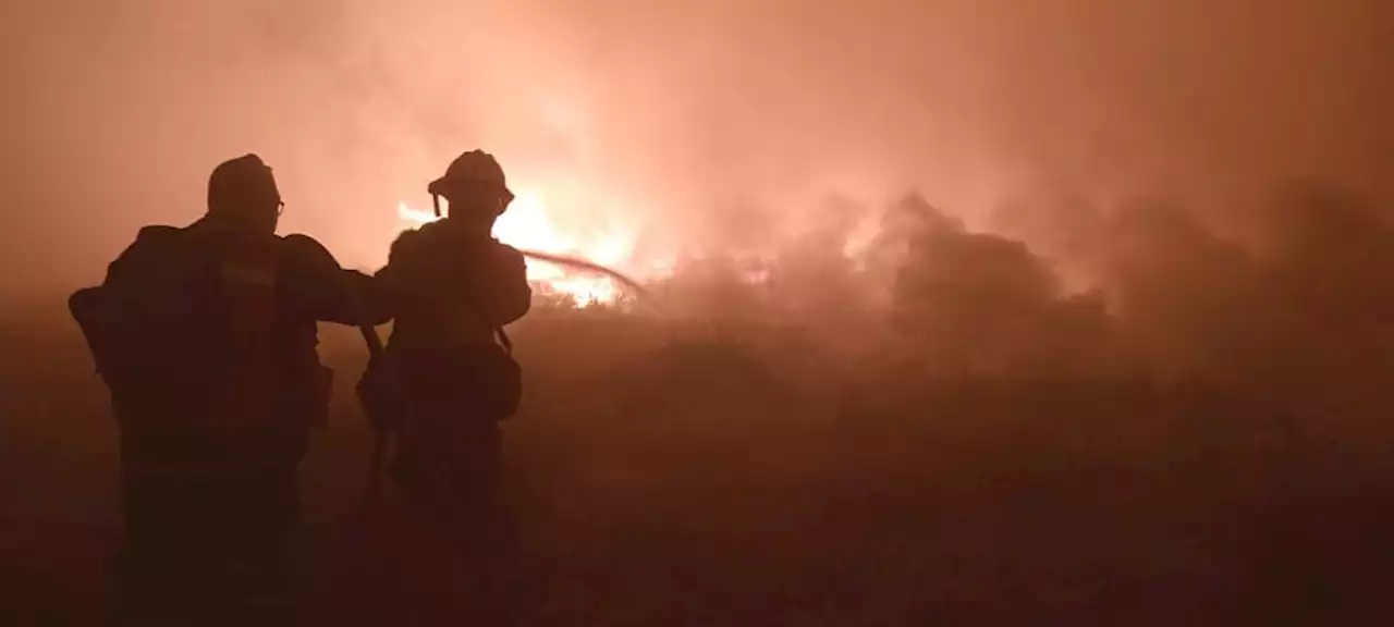 La Jornada: Hay 5 mil brigadistas preparados para combatir incendios forestales