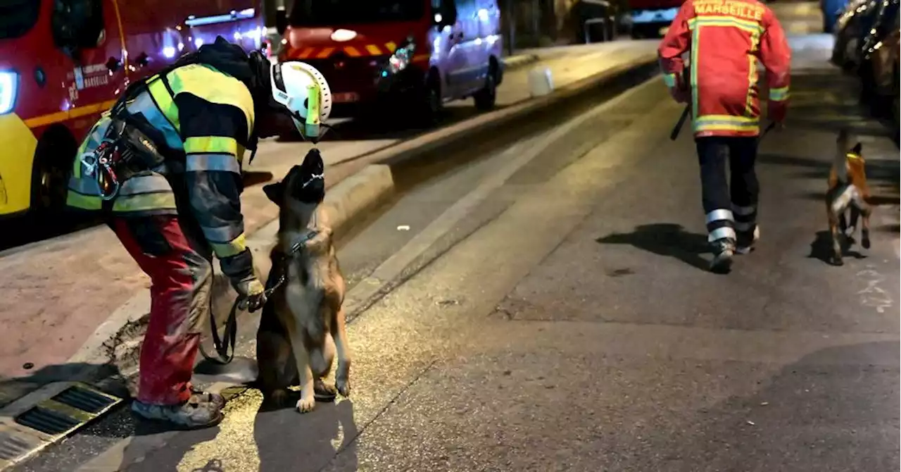 Rue de Tivoli à Marseille : ces sauveteurs qui se donnent un mal de chien