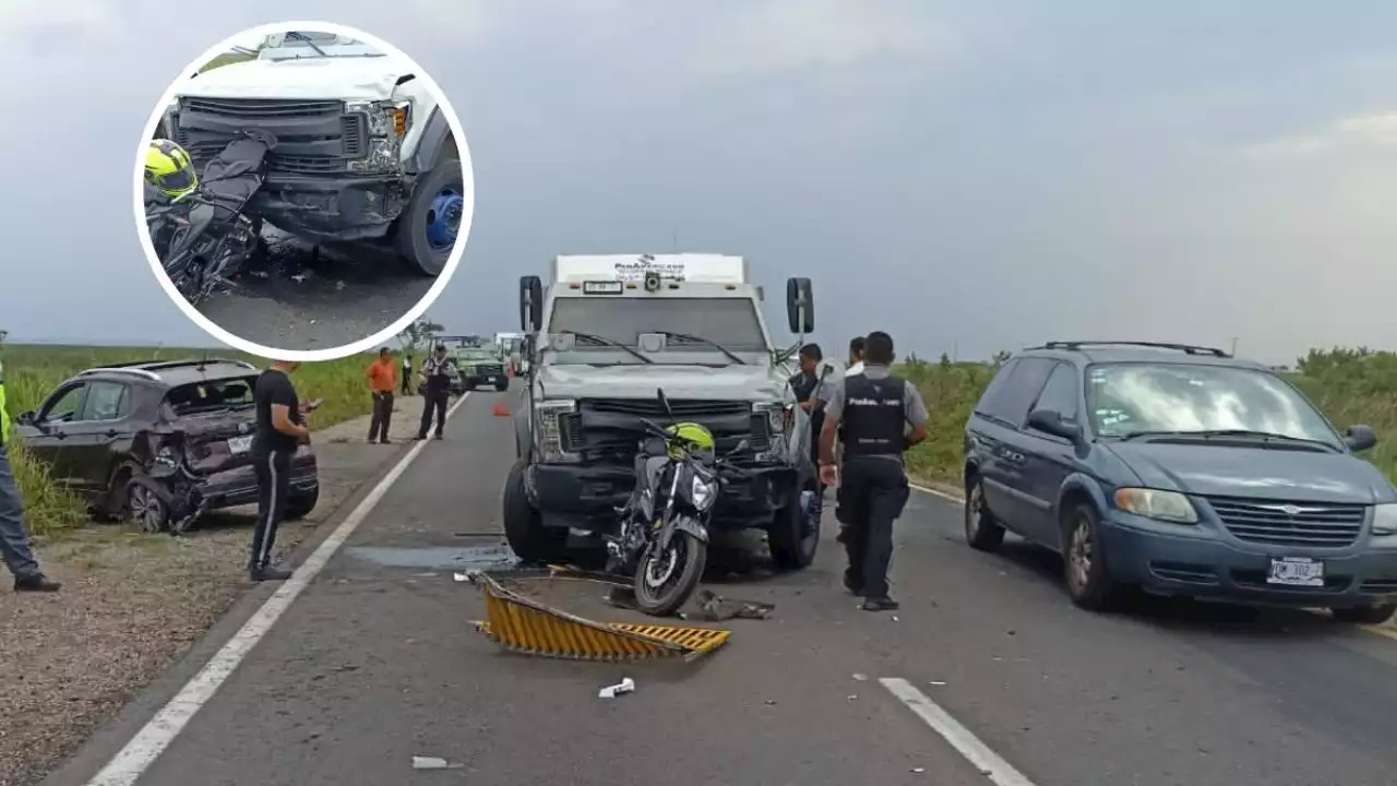 Tortuga provoca carambola en carretera de Las Matas, al sur de Veracruz