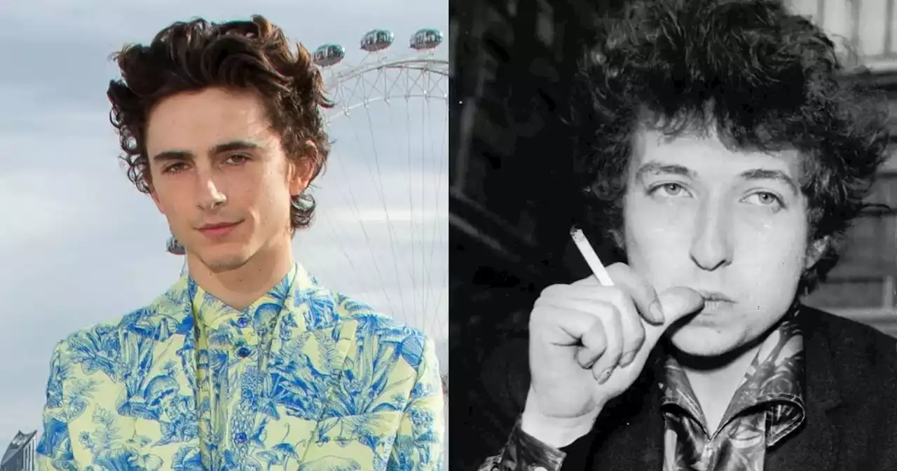 Timothée Chalamet encarnará a Bob Dylan en una nueva película biográfica | Cine | La Voz del Interior