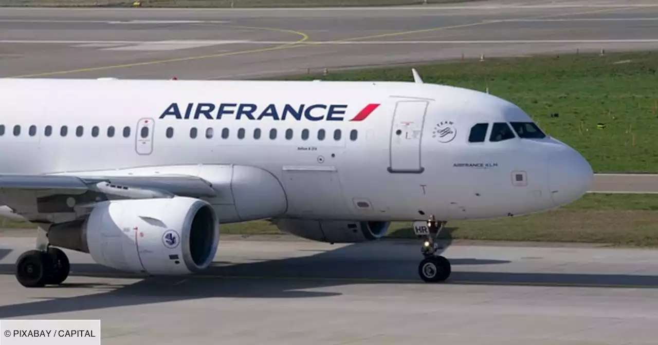 Air France : la note va être très salée désormais pour transporter un animal