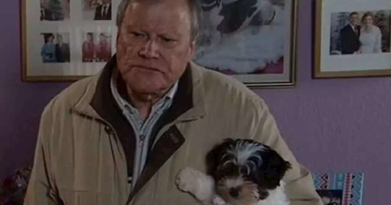 Corrie fans in love with soap's new dog as they make sweet prediction