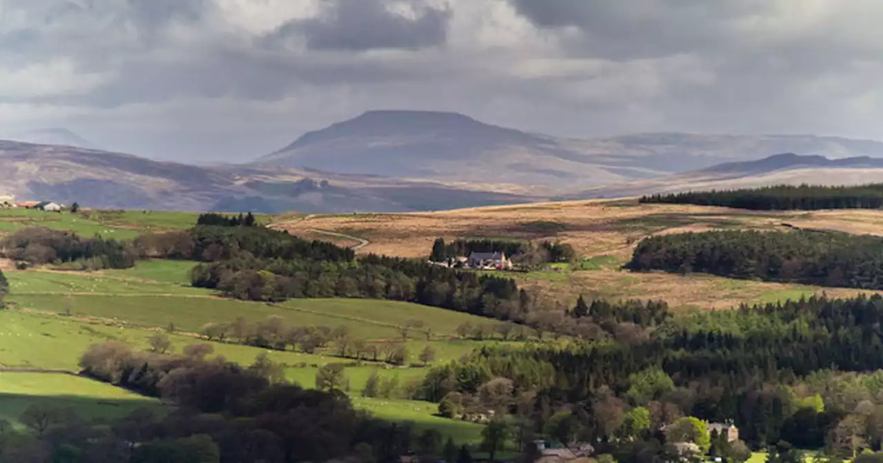 Tragedy as walkers discover man's body in woods at popular beauty spot