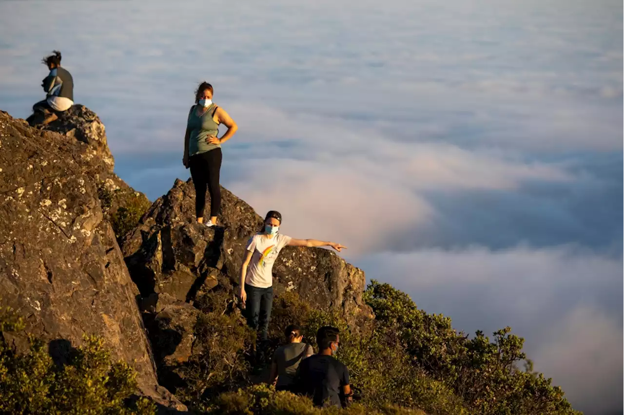 The best hikes in the Bay Area you can get to using only public transit