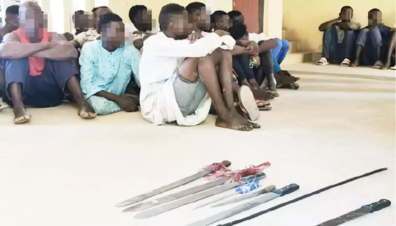 Police nab 31 Bauchi hoodlums