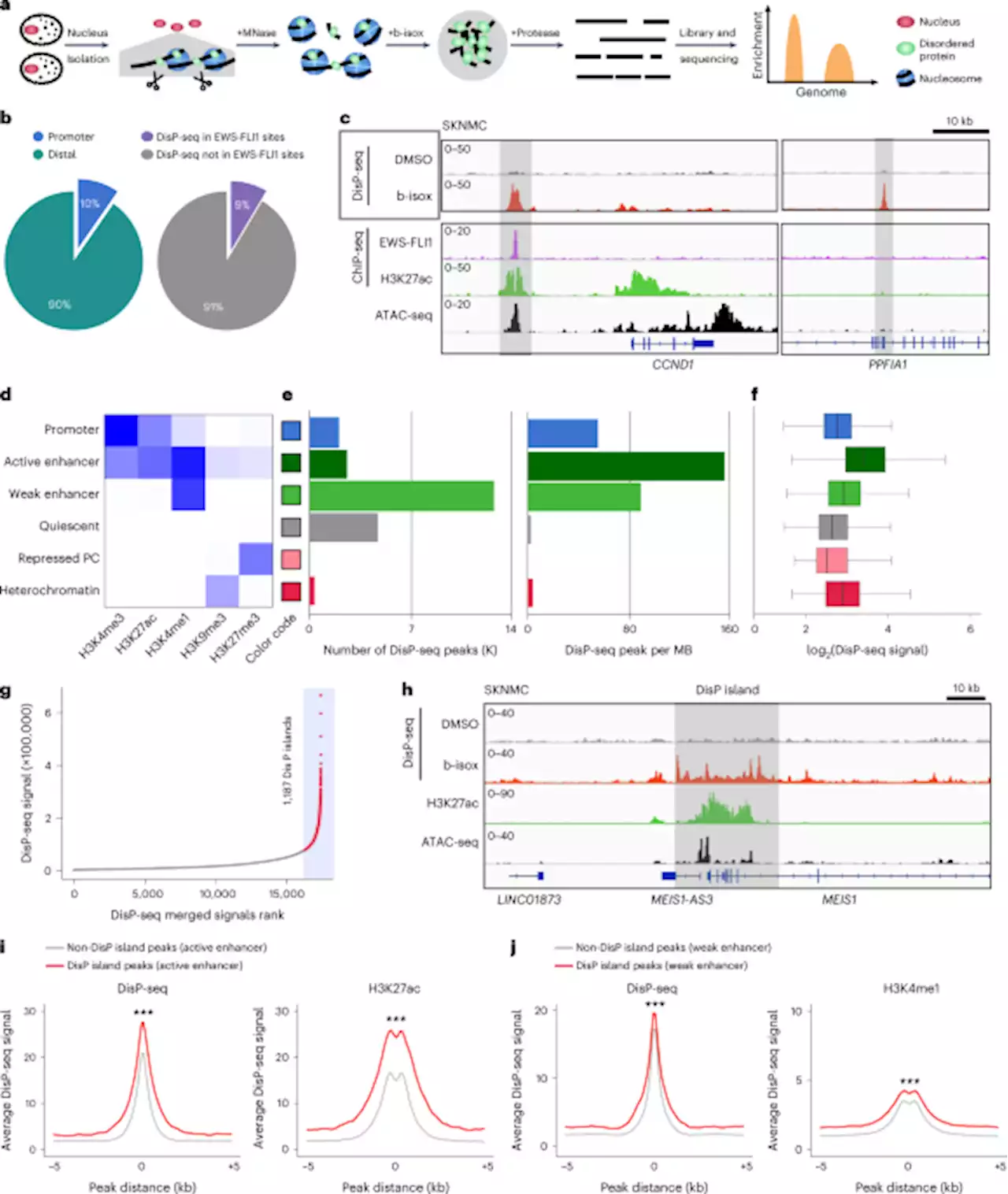 DisP-seq reveals the genome-wide functional organization of DNA-associated disordered proteins - Nature Biotechnology