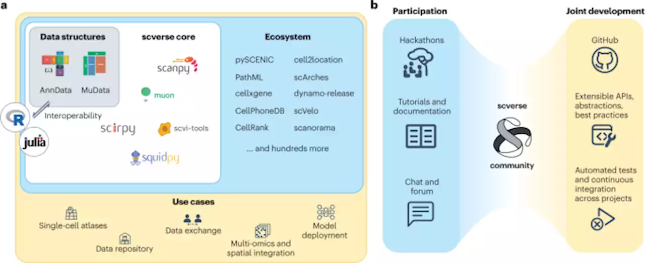 The scverse project provides a computational ecosystem for single-cell omics data analysis - Nature Biotechnology