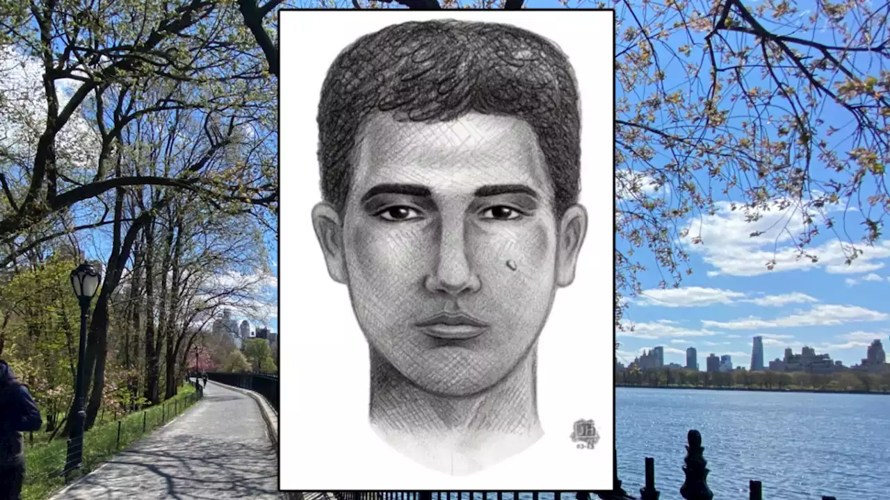 Central Park Stranger Slams Woman's Head Into Tree — Repeatedly — in Ambush: NYPD