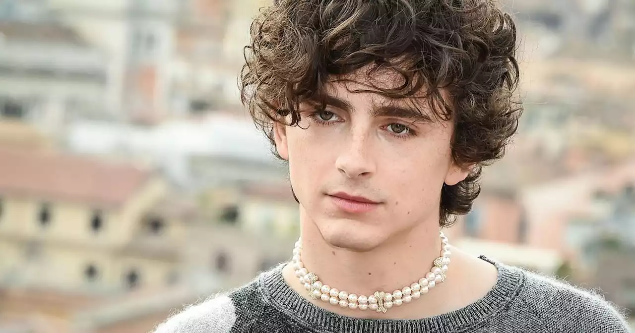 Timothée Chalamet Is a Singer, Actually