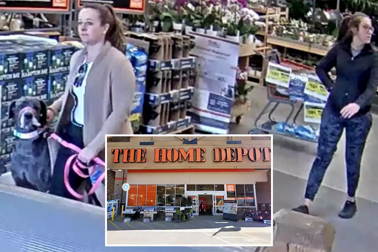 Colorado Home Depot customer gets attacked by dog in the face, owner flees store