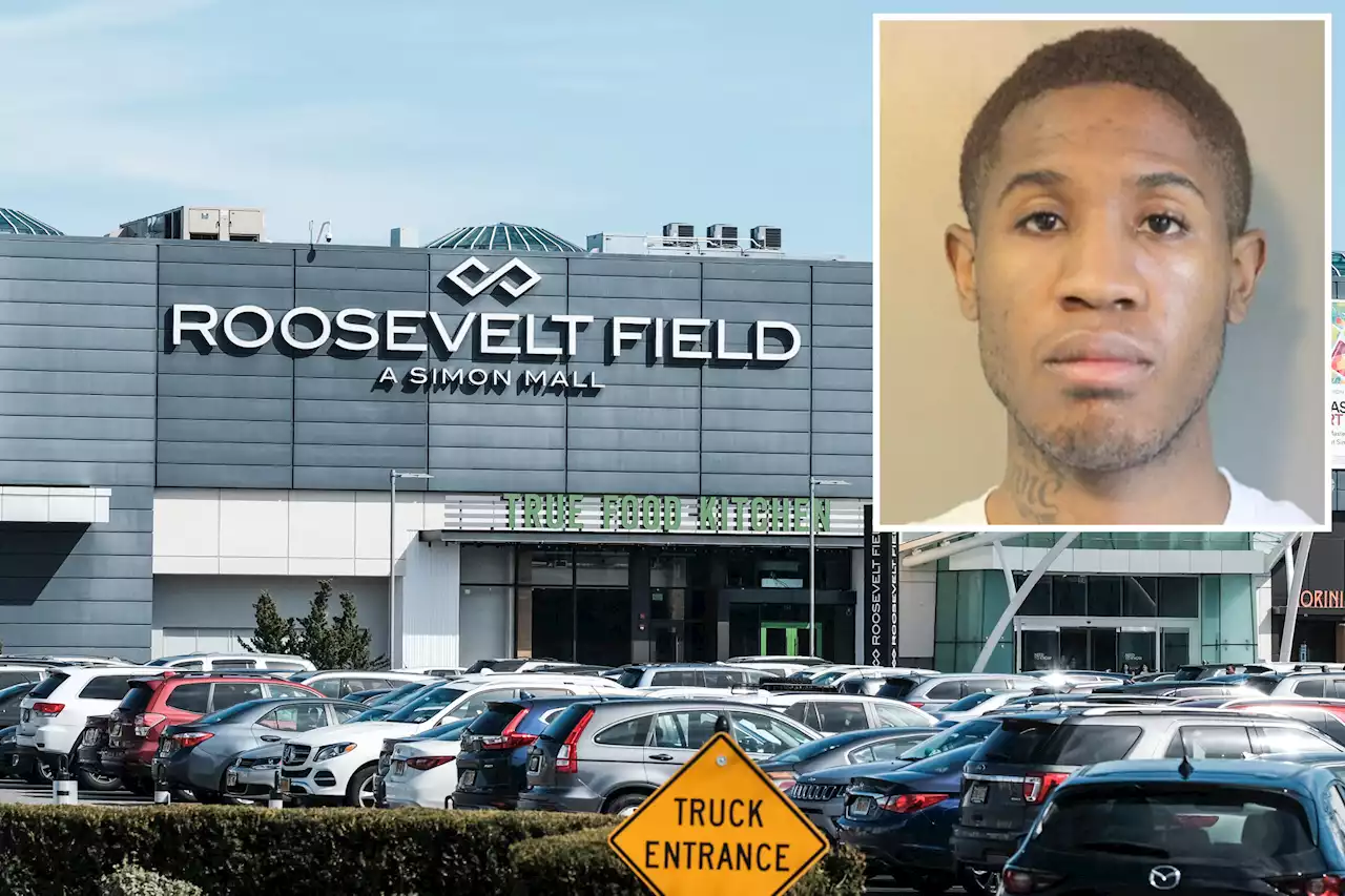 Pervert exposes himself, chases women at Long Island mall: police