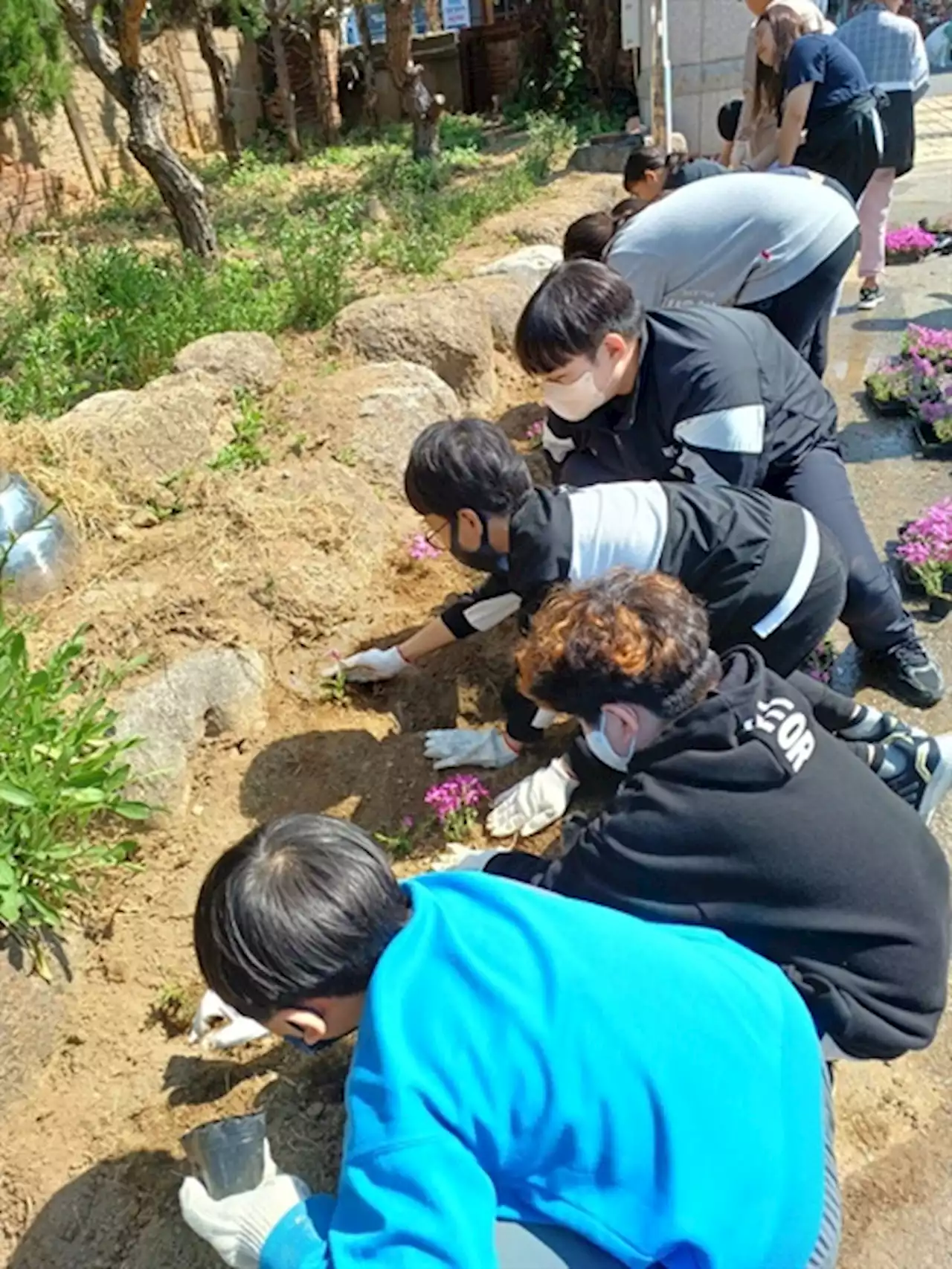 식물에도 감정이 있어요