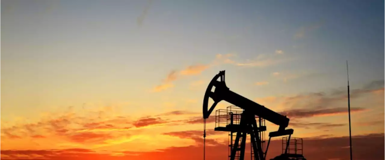 Oil Prices Head Lower In Calmer Trade | OilPrice.com