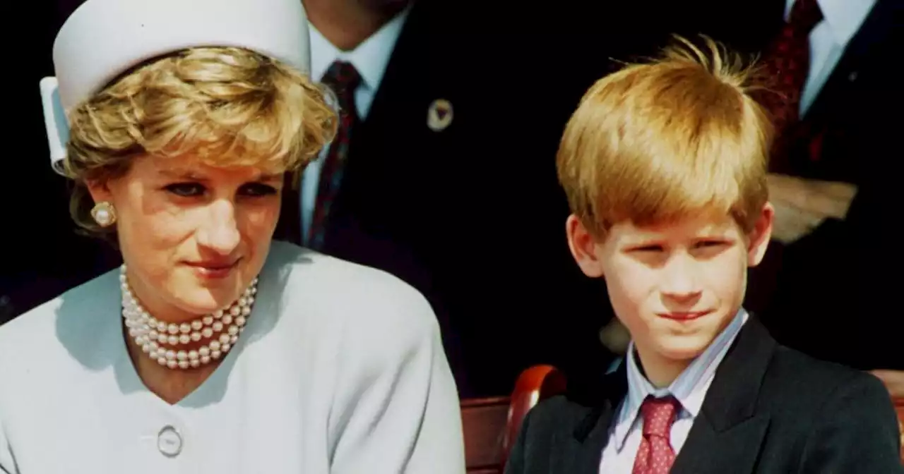 Princess Diana smacked Prince Harry for 'casual racism', new book claims