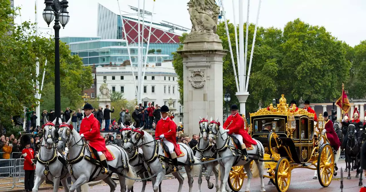 Royal horses in crowd training for coronation day, King’s head coachman says