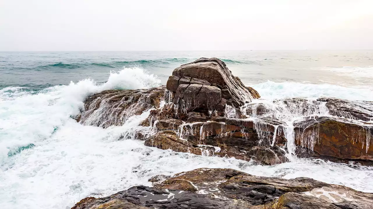 Pendulums under ocean waves could prevent beach erosion