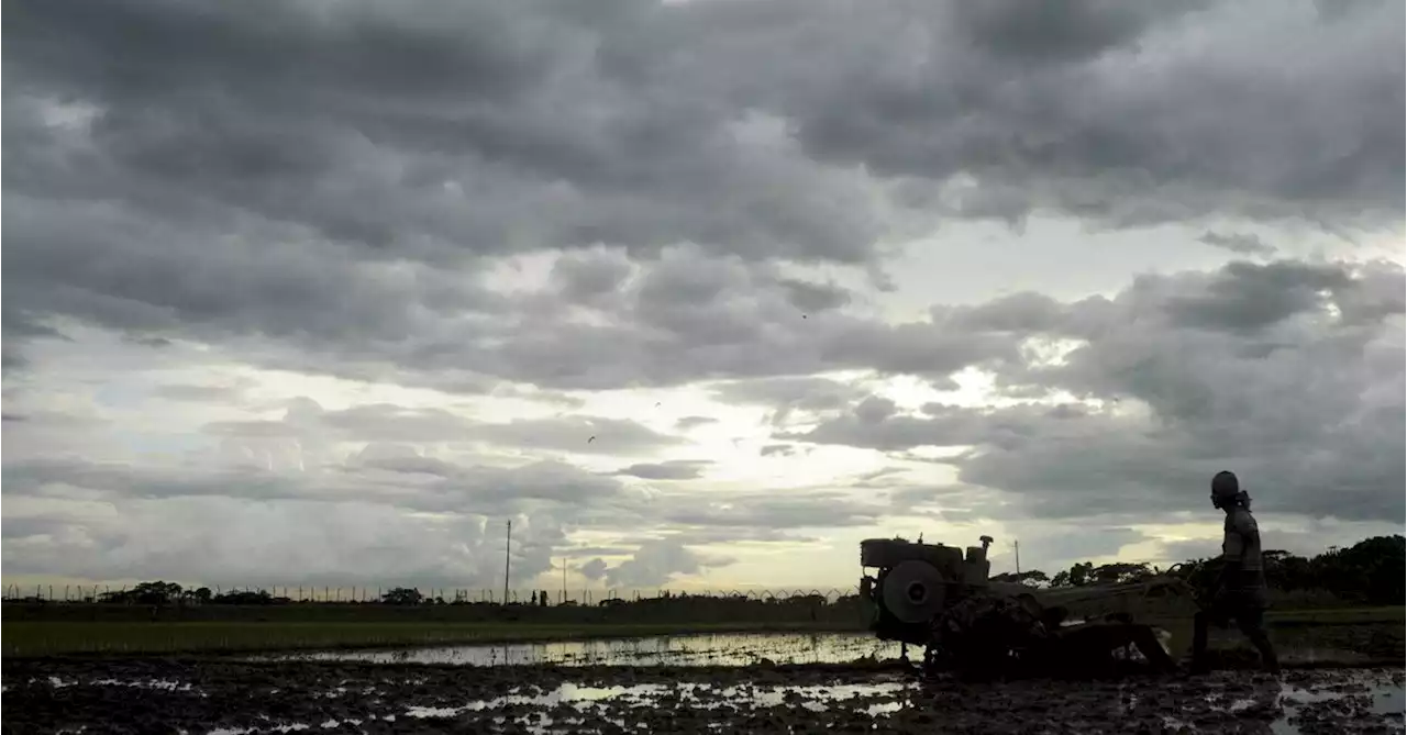 India likely to get 'below normal' monsoon rains in 2023, Skymet says